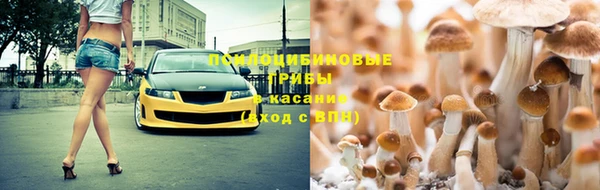 герыч Алзамай