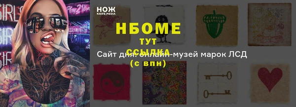 гашик Алексин