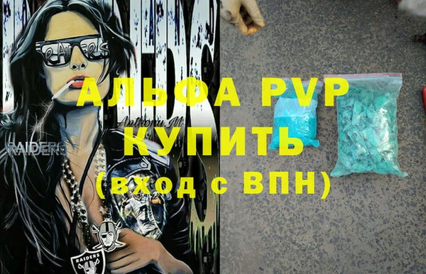 гашик Алексин