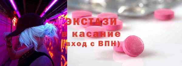 гашик Алексин