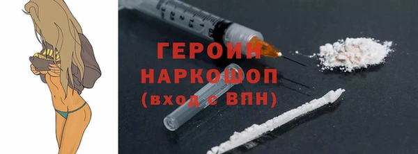 гашик Алексин