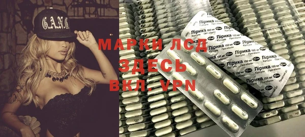 гашик Алексин