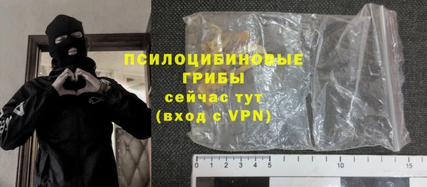 гашик Алексин