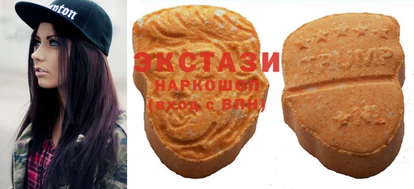 гашик Алексин