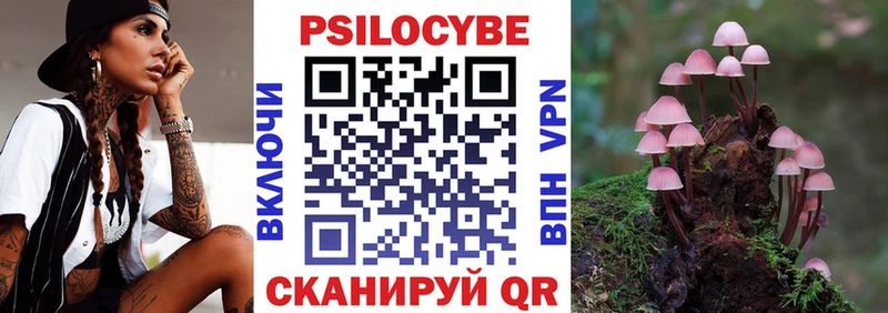 Псилоцибиновые грибы Psilocybe  blacksprut вход  Киреевск 
