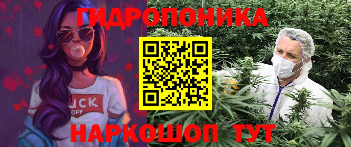 Шишки марихуана марихуана Киреевск